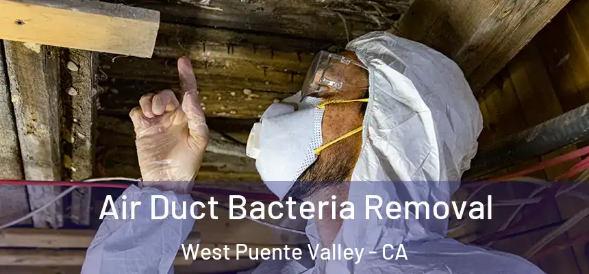 Air Duct Bacteria Removal West Puente Valley - CA