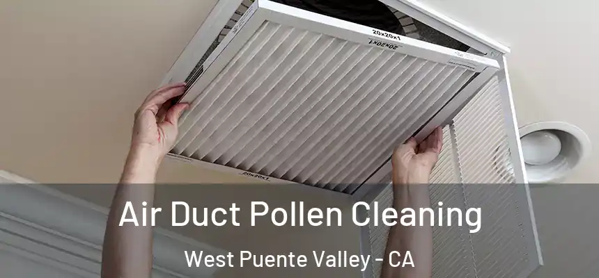 Air Duct Pollen Cleaning West Puente Valley - CA