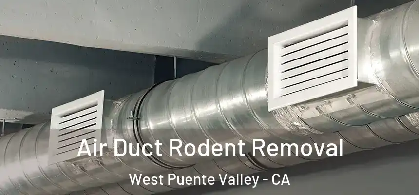  Air Duct Rodent Removal West Puente Valley - CA