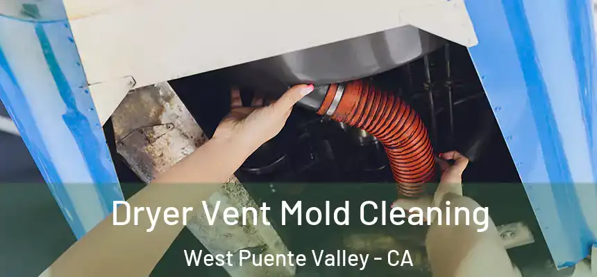  Dryer Vent Mold Cleaning West Puente Valley - CA