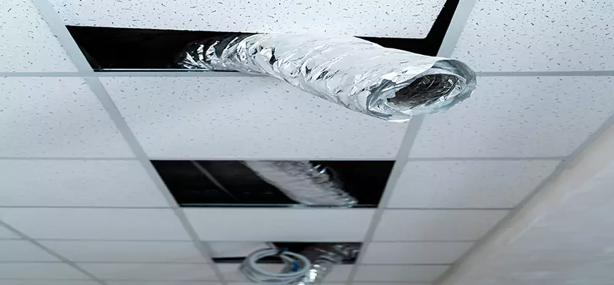 Affordable HVAC Sanitizing After Pest Removal in West Puente Valley