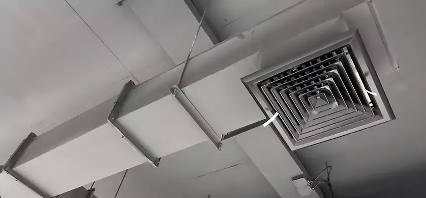 Our Rodent Droppings In Vents Services in West Puente Valley, CA