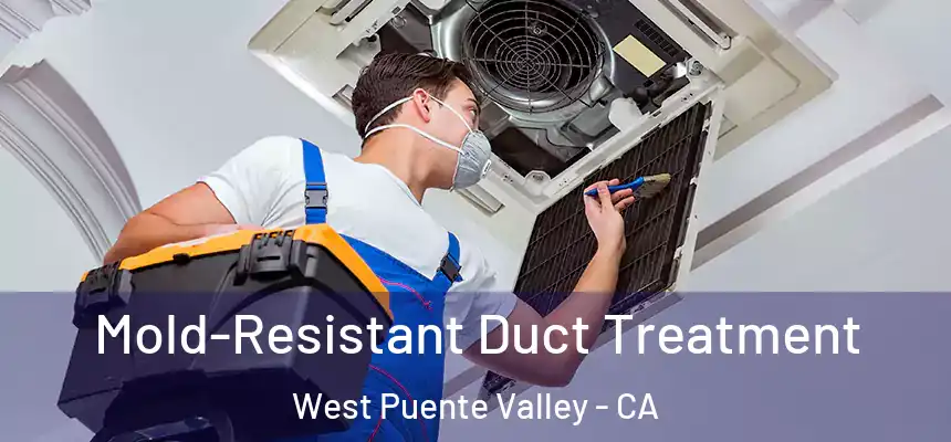  Mold-Resistant Duct Treatment West Puente Valley - CA