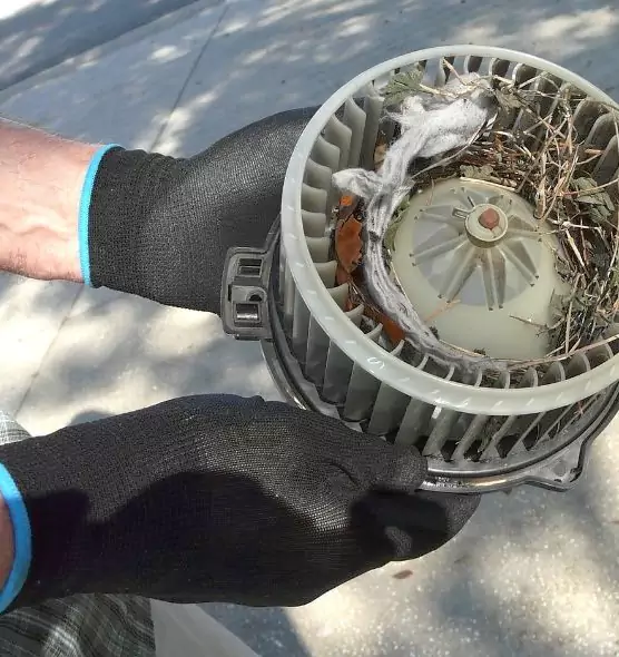 About Air Duct Mice Removal in West Puente Valley, CA