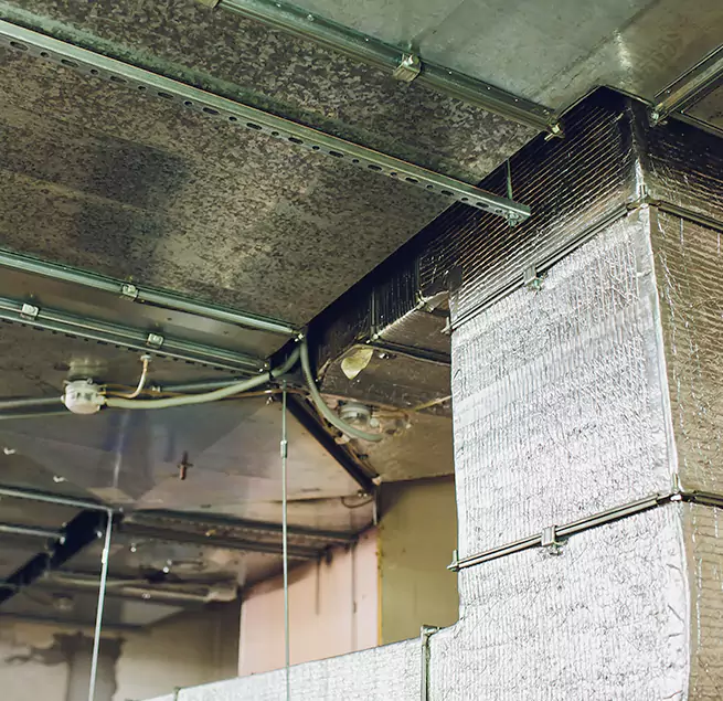 Why Homeowners & Businesses Trust Us in West Puente Valley, CA?